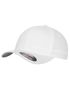couleur White