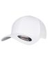 couleur White