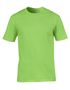 couleur Lime