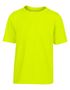 couleur Safety Green