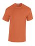 couleur Antique Orange (Heather)