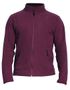 couleur Maroon