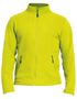 couleur Safety Green