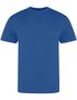 couleur Royal Blue