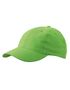 couleur Lime Green
