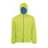 couleur Lime fluo / Royal