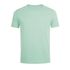 couleur Mint