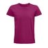 couleur Fuchsia