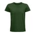 couleur Vert bouteille