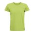couleur Vert pomme
