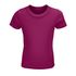 couleur Fuchsia