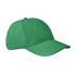 couleur Vert prairie