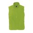 couleur Lime