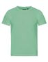 couleur Dusty Mint