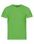 couleur Lime