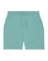 couleur Teal Monstera