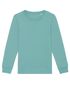 couleur Teal Monstera