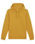 couleur Ochre