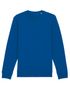 couleur Majorelle Blue