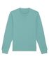 couleur Teal Monstera