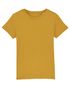 couleur Ochre