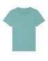 couleur Teal Monstera