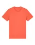 couleur Fiesta