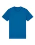 couleur Royal Blue