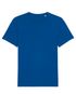 couleur Majorelle Blue