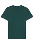 couleur Glazed Green