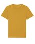couleur Ochre