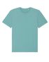 couleur Teal Monstera