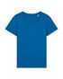 couleur Royal Blue