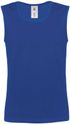 couleur Royal Blue