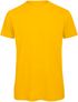 couleur Gold