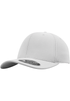 couleur Silver
