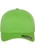 couleur FRESH GREEN