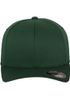 couleur SPRUCE