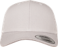 couleur Silver