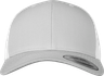 couleur SILVER / WHITE