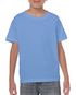 couleur Carolina Blue (x72)