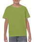 couleur Kiwi (x72)