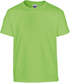 couleur Lime