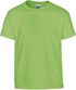 couleur Lime