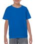 couleur Sapphire (x72)