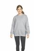 couleur RS Sport Grey