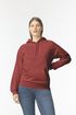 couleur MAROON