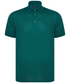 couleur Bottle Green