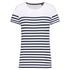 couleur White / Navy Stripes