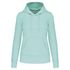 couleur Ice Mint